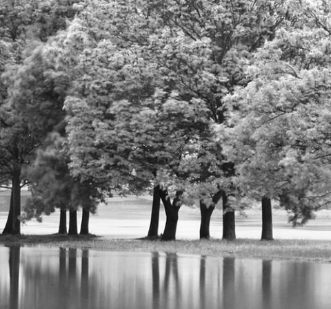 Kliknij na zdjęcie, żeby zobaczyć w pełnych wymiarach