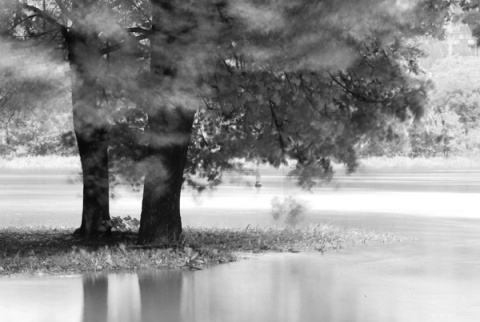 Kliknij na zdjęcie, żeby zobaczyć w pełnych wymiarach