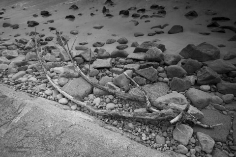 Kliknij na zdjęcie, żeby zobaczyć w pełnych wymiarach