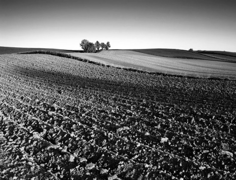 Kliknij na zdjęcie, żeby zobaczyć w pełnych wymiarach