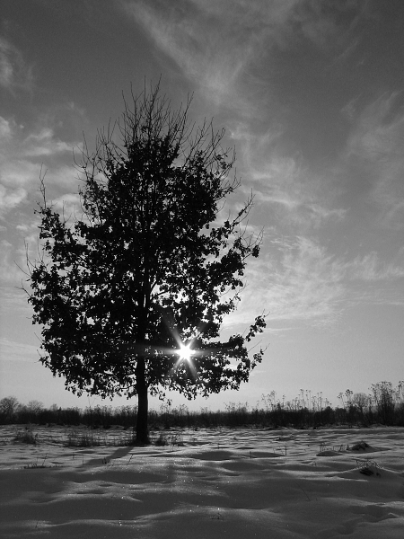 Kliknij na zdjęcie, żeby zobaczyć w pełnych wymiarach