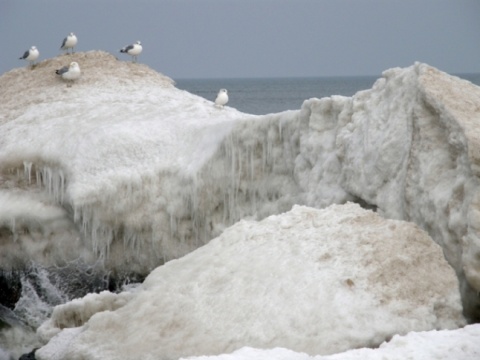 Kliknij na zdjęcie, żeby zobaczyć w pełnych wymiarach