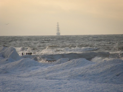Kliknij na zdjęcie, żeby zobaczyć w pełnych wymiarach