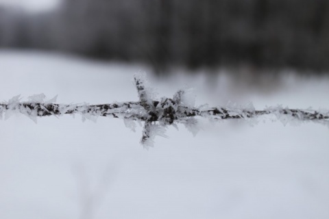 Kliknij na zdjęcie, żeby zobaczyć w pełnych wymiarach