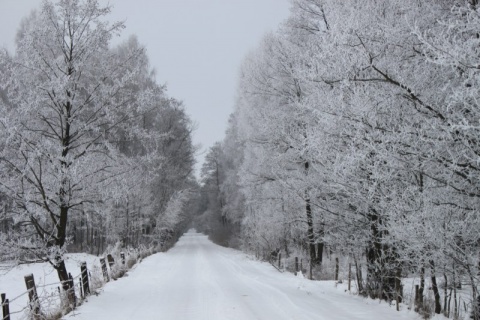 Kliknij na zdjęcie, żeby zobaczyć w pełnych wymiarach