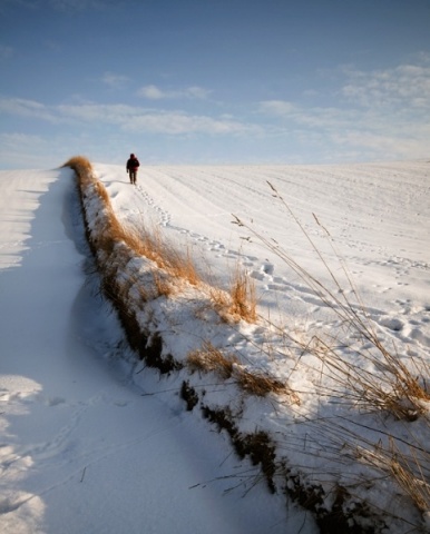 Kliknij na zdjęcie, żeby zobaczyć w pełnych wymiarach