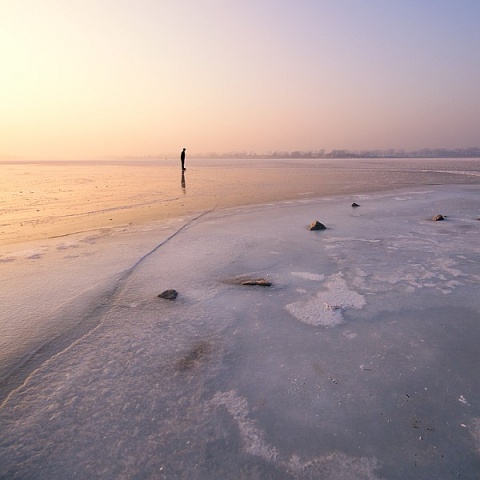 Kliknij na zdjęcie, żeby zobaczyć w pełnych wymiarach