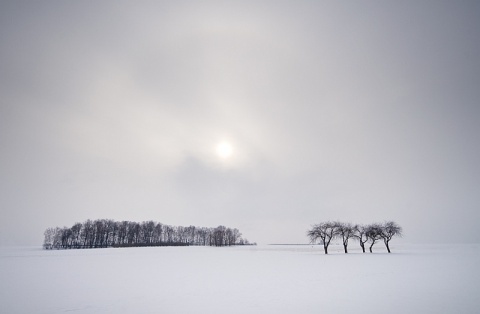Kliknij na zdjęcie, żeby zobaczyć w pełnych wymiarach