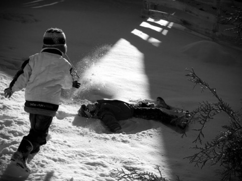 Kliknij na zdjęcie, żeby zobaczyć w pełnych wymiarach