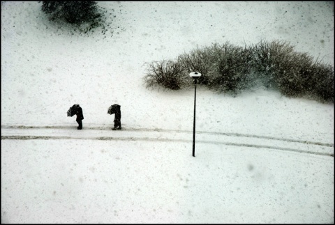Kliknij na zdjęcie, żeby zobaczyć w pełnych wymiarach