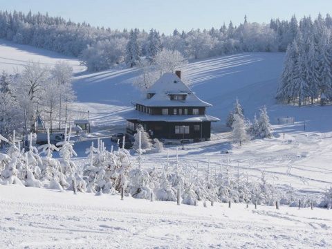 Kliknij na zdjęcie, żeby zobaczyć w pełnych wymiarach