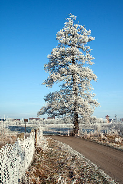 Kliknij na zdjęcie, żeby zobaczyć w pełnych wymiarach