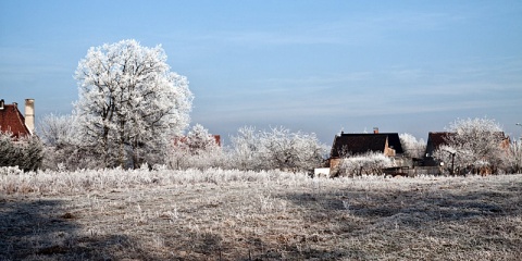 Kliknij na zdjęcie, żeby zobaczyć w pełnych wymiarach