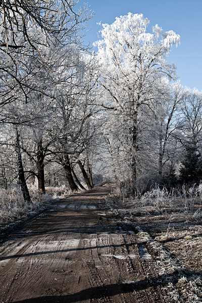 Kliknij na zdjęcie, żeby zobaczyć w pełnych wymiarach