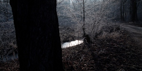 Kliknij na zdjęcie, żeby zobaczyć w pełnych wymiarach