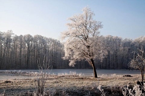 Kliknij na zdjęcie, żeby zobaczyć w pełnych wymiarach