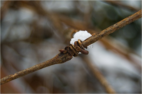 Kliknij na zdjęcie, żeby zobaczyć w pełnych wymiarach