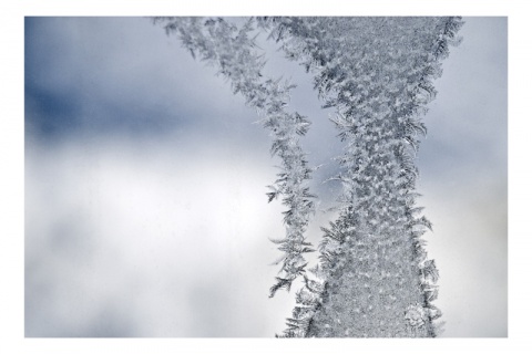 Kliknij na zdjęcie, żeby zobaczyć w pełnych wymiarach