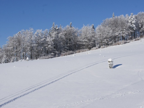 Kliknij na zdjęcie, żeby zobaczyć w pełnych wymiarach