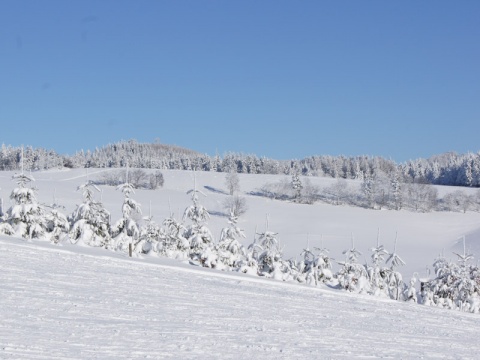Kliknij na zdjęcie, żeby zobaczyć w pełnych wymiarach