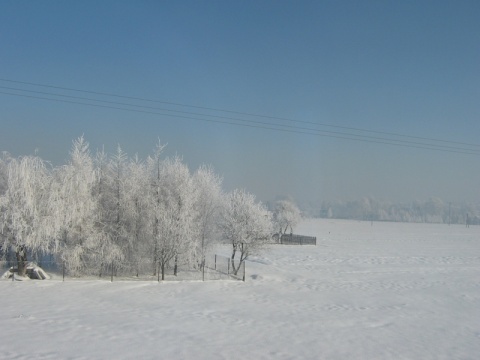 Kliknij na zdjęcie, żeby zobaczyć w pełnych wymiarach