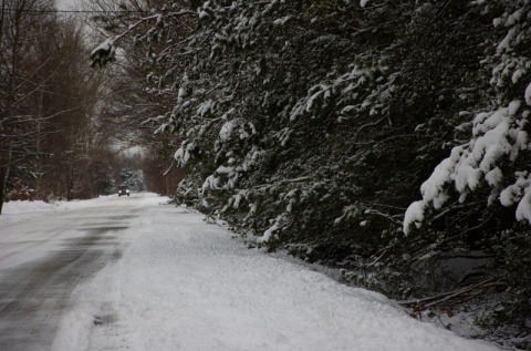 Kliknij na zdjęcie, żeby zobaczyć w pełnych wymiarach
