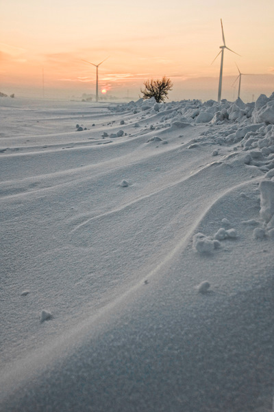 Kliknij na zdjęcie, żeby zobaczyć w pełnych wymiarach