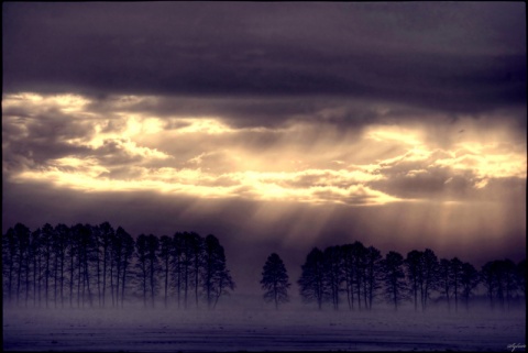 Kliknij na zdjęcie, żeby zobaczyć w pełnych wymiarach