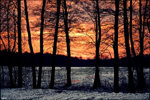 Kliknij na zdjęcie, żeby zobaczyć w pełnych wymiarach