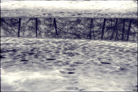 Kliknij na zdjęcie, żeby zobaczyć w pełnych wymiarach