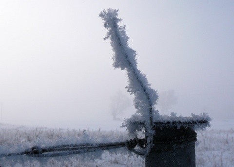 Kliknij na zdjęcie, żeby zobaczyć w pełnych wymiarach