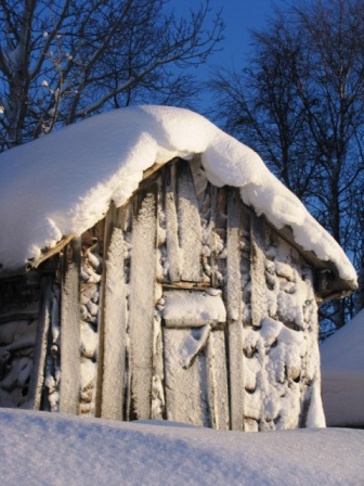 Kliknij na zdjęcie, żeby zobaczyć w pełnych wymiarach