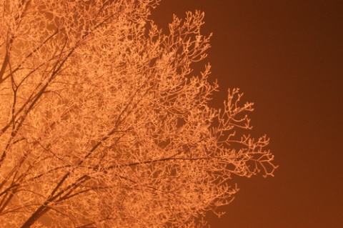 Kliknij na zdjęcie, żeby zobaczyć w pełnych wymiarach