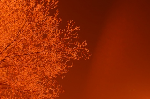 Kliknij na zdjęcie, żeby zobaczyć w pełnych wymiarach