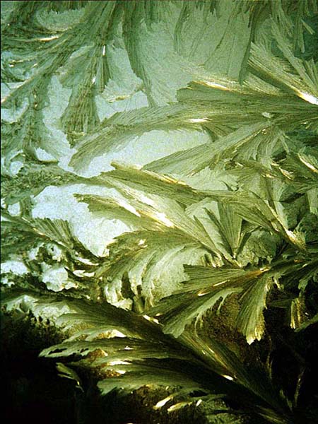 Kliknij na zdjęcie, żeby zobaczyć w pełnych wymiarach