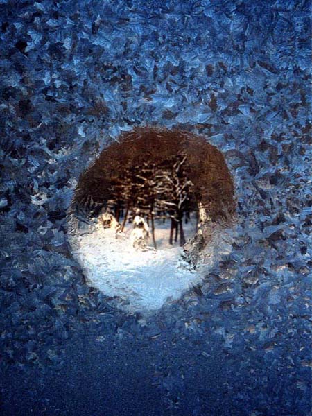 Kliknij na zdjęcie, żeby zobaczyć w pełnych wymiarach