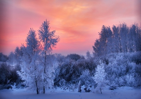 Kliknij na zdjęcie, żeby zobaczyć w pełnych wymiarach
