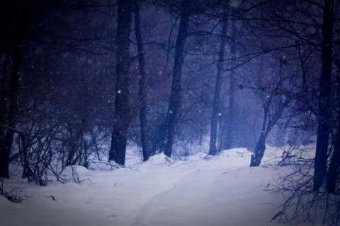 Kliknij na zdjęcie, żeby zobaczyć w pełnych wymiarach
