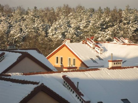 Kliknij na zdjęcie, żeby zobaczyć w pełnych wymiarach