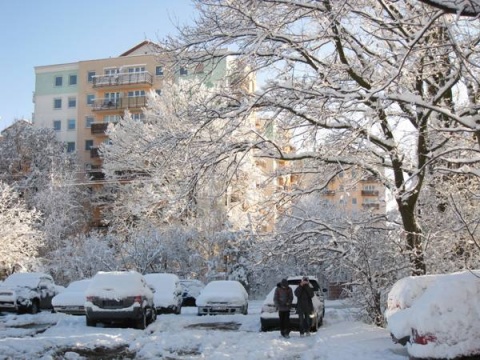 Kliknij na zdjęcie, żeby zobaczyć w pełnych wymiarach