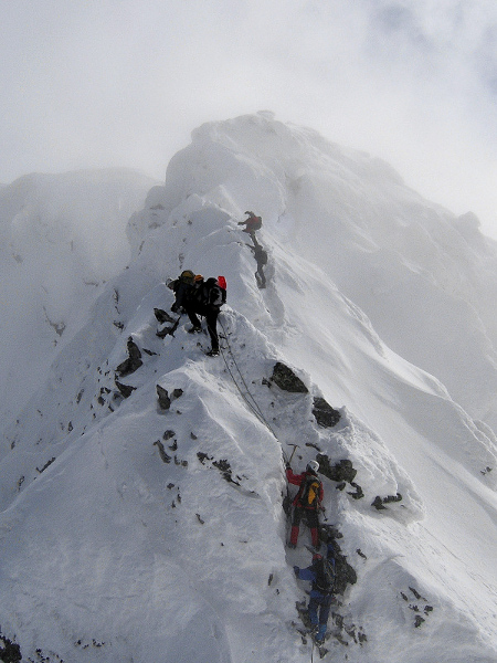 Kliknij na zdjęcie, żeby zobaczyć w pełnych wymiarach