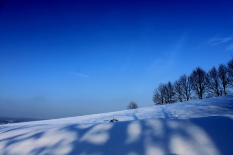 Kliknij na zdjęcie, żeby zobaczyć w pełnych wymiarach
