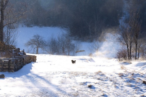 Kliknij na zdjęcie, żeby zobaczyć w pełnych wymiarach