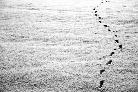 Kliknij na zdjęcie, żeby zobaczyć w pełnych wymiarach