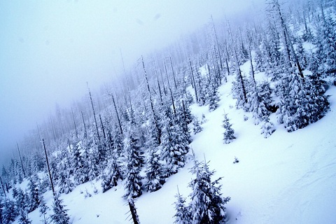Kliknij na zdjęcie, żeby zobaczyć w pełnych wymiarach