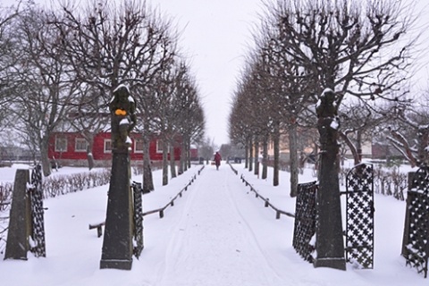 Kliknij na zdjęcie, żeby zobaczyć w pełnych wymiarach