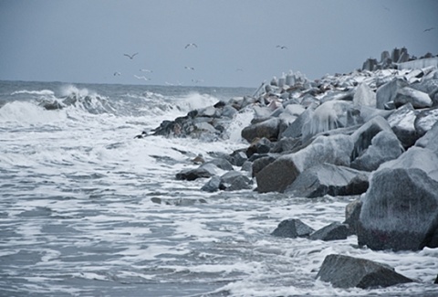 Kliknij na zdjęcie, żeby zobaczyć w pełnych wymiarach