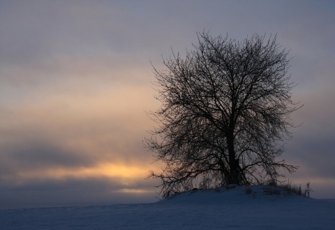 Kliknij na zdjęcie, żeby zobaczyć w pełnych wymiarach