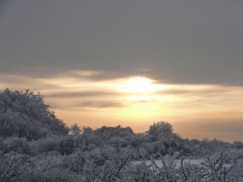 Kliknij na zdjęcie, żeby zobaczyć w pełnych wymiarach