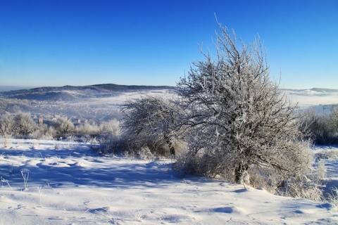 Kliknij na zdjęcie, żeby zobaczyć w pełnych wymiarach